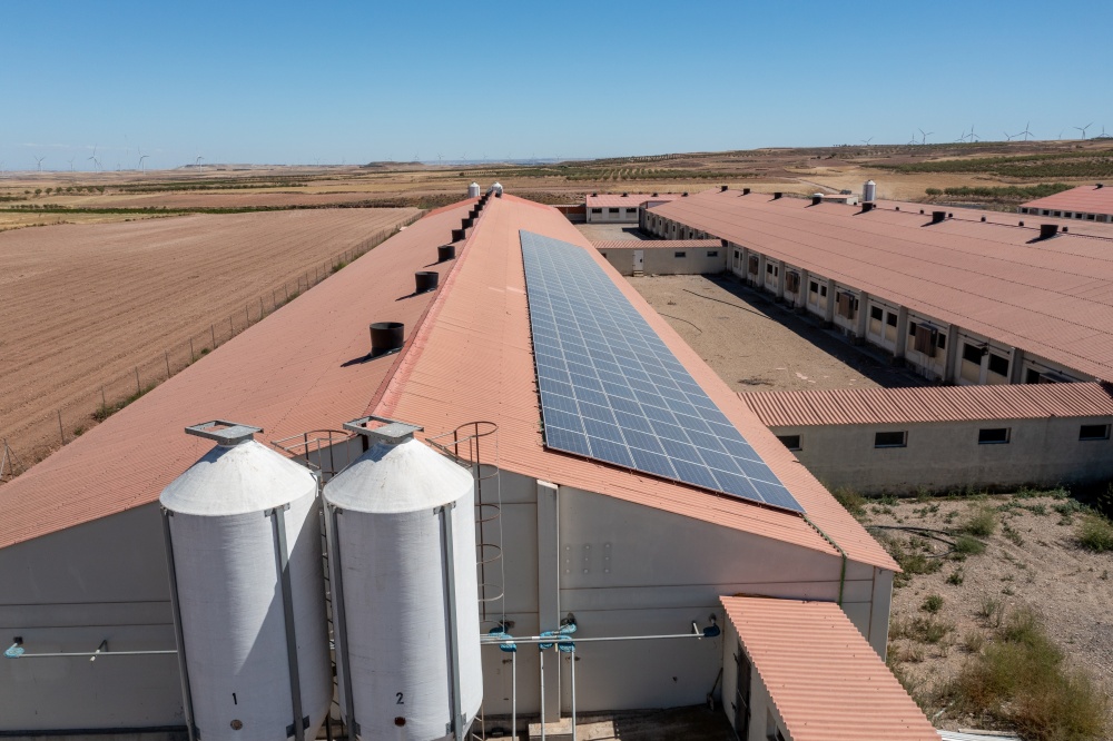 Kredyt na realizację inwestycji w przetwórstwie produktów rolnych, ryb, skorupiaków i mięczaków oraz zakup akcji lub udziałów - symbol PR